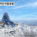 소나무숲식당 이미지