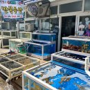 최옥란농장 이미지