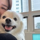 메종드 로이 이미지