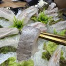어도회센터 | 부천 소사 맛집 어도회센터 활어모듬회 후기