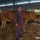 서성목장 이미지