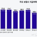 사상최대 이익냈는데…&#39;보험금 지급능력&#39; 추락위기 보험사 - 이미지