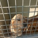 경림소망아파트 이미지