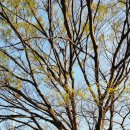 삽다리농원 이미지