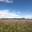 (주)하늘정원 이미지