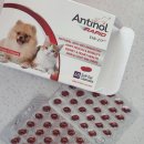 퓨란 | 강아지 관절 슬개골 영양제, 안티놀 래피드 내돈내산 1달 후기