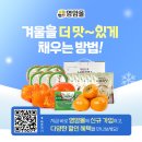 얌샘김밥영암 | 영암몰, 매출 300% 폭증…올해 목표 조기
