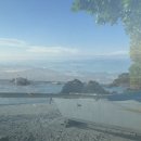 푸른푸릇 이미지