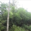 퇴촌면-3 이미지