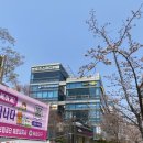 주정차단속-129 | 해운대 수제버거 어썸버거