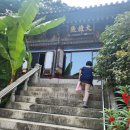 남구-24 이미지
