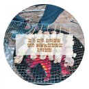 경기 양주 차박캠핑 :: 양주 씨알농장 이번에도 차박캠핑(4)