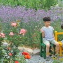 달빛조은 이미지