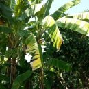 (주)길산골프클럽 이미지