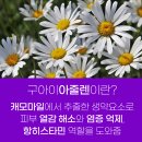 태민약국 네이버블로그