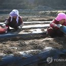 적상면007 Daum카페