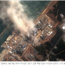 생태세상 이미지