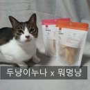 뭐먹냥? | [간식] 뭐먹냥 동결건조 간식 급여 후기