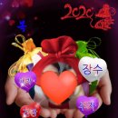 초밥인생 이미지