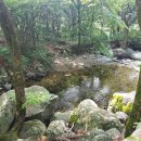 사나사(사찰 앞) 이미지