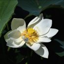 마하재활병원 이미지