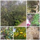 둔일농장 이미지