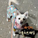 바잇미 강아지패딩 더블히트패딩 xl 내돈내산 실사용 후기