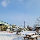 윤슬농장 이미지