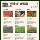 서울숲에 '제이홉 숲' 조성…"J벤치에서 꽃구경 하세요" 이미지