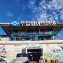 경주 감포횟집 수협활어직판장 태운수산 대게택배 후기 꿀팁