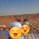 K-벨리댄스 | [신혼여행 ④] 두바이 사막투어 후기 : 체력 제로 종이인형도 실컷 즐긴 사막투어 솔직 리뷰