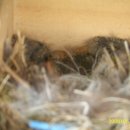 민재목장 이미지