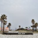 제주어 나들이 | 제주도 여행, 샛노란 유채꽃과 에메랄드 함덕해변 풍경. 함덕 "서우봉"둘레길