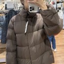 원소프트 | 러버가 환장할 10만원대 여성 패딩 :: 유니클로 파우더소프트다운재킷 브라운 착용 후기 및 사이즈 추천