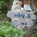 하늘밭, 봄 이미지