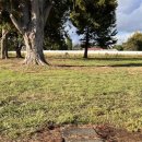 유심농장 이미지