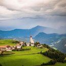 래온동물병원 이미지