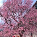 지산마을회관 이미지