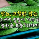 여주의 효능 이미지