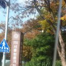 단대공원 Daum카페