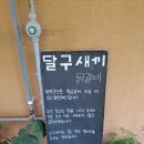 강원도 홍천 닭갈비 맛집 달구새끼 내돈내산 솔직후기
