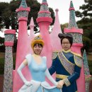 봄날식당 이미지