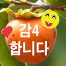 보루(BOROO) 창원의창점 이미지