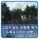 고압선 닿는 위험목 제거 수목 유지관리 대행