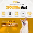 철원동물병원 이미지