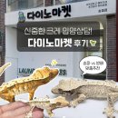 송파 | 파충류샵 다이노마켓 송파점 후기 방배점 비교