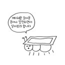 24시낚시프라자