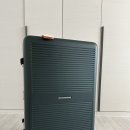 88 PC | 로우로우 프레임 EP3 캐리어 29인치 88L 딥그린 내돈내산 후기 (16개월 아기 여행)