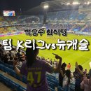 박승수 | 팀 K리그 vs 뉴캐슬 직관 후기 수원월드컵경기장 관람 박승수 선수