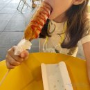 유펜아리조나치과교정과치과의원 이미지